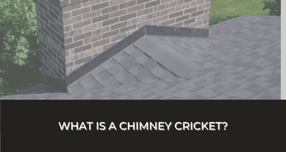 What Is A Chimney Cricket?